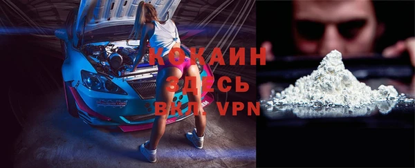 индика Абинск