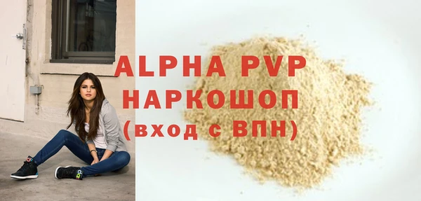 твердый Абаза