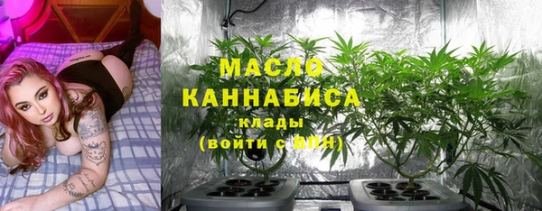 индика Абинск