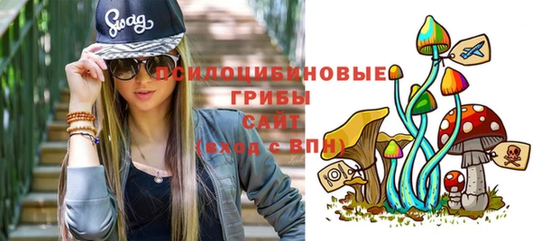 индика Абинск