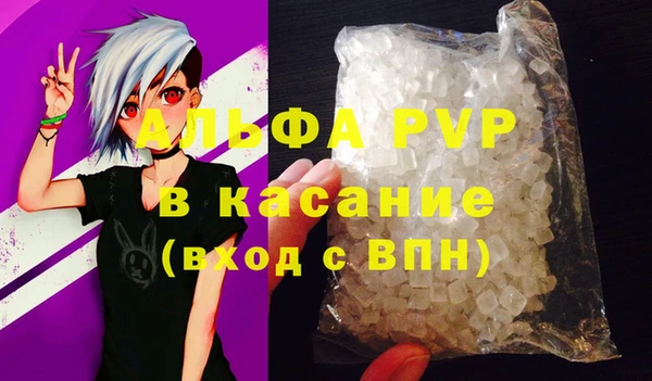 индика Абинск