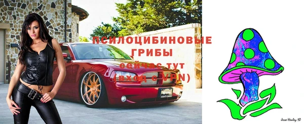 бошки Лиски