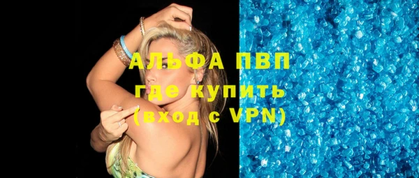 индика Абинск