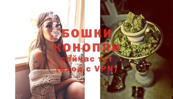 твердый Абаза