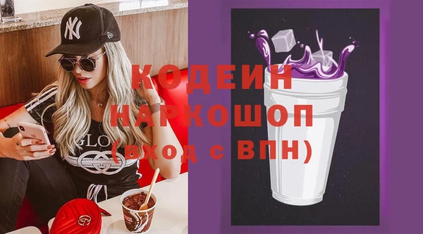 индика Абинск