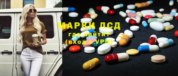 индика Абинск